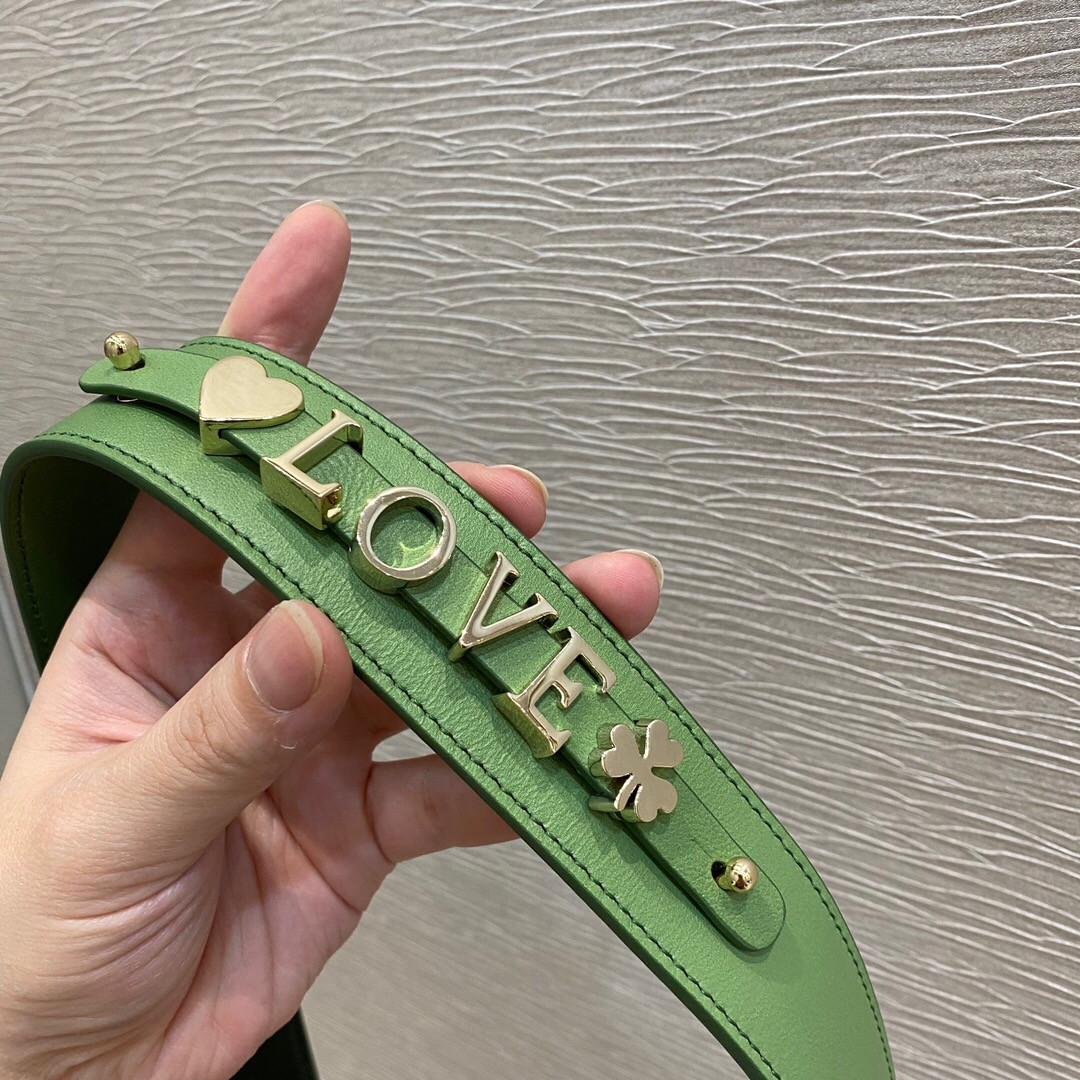 small lady D*or bag 8 x 6.5 x 3 inches