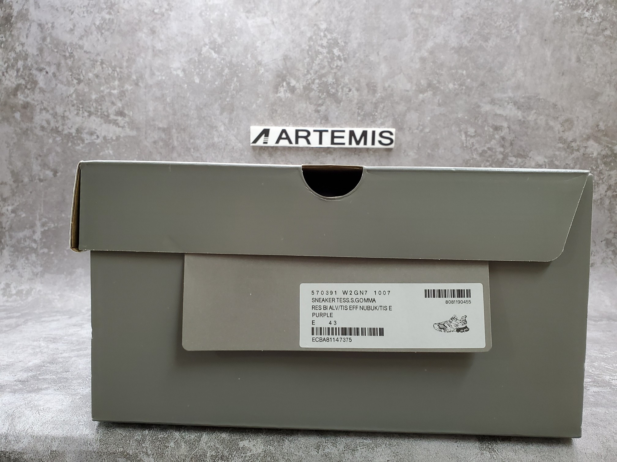 Balenciga Track 2 Trainer Purple Green