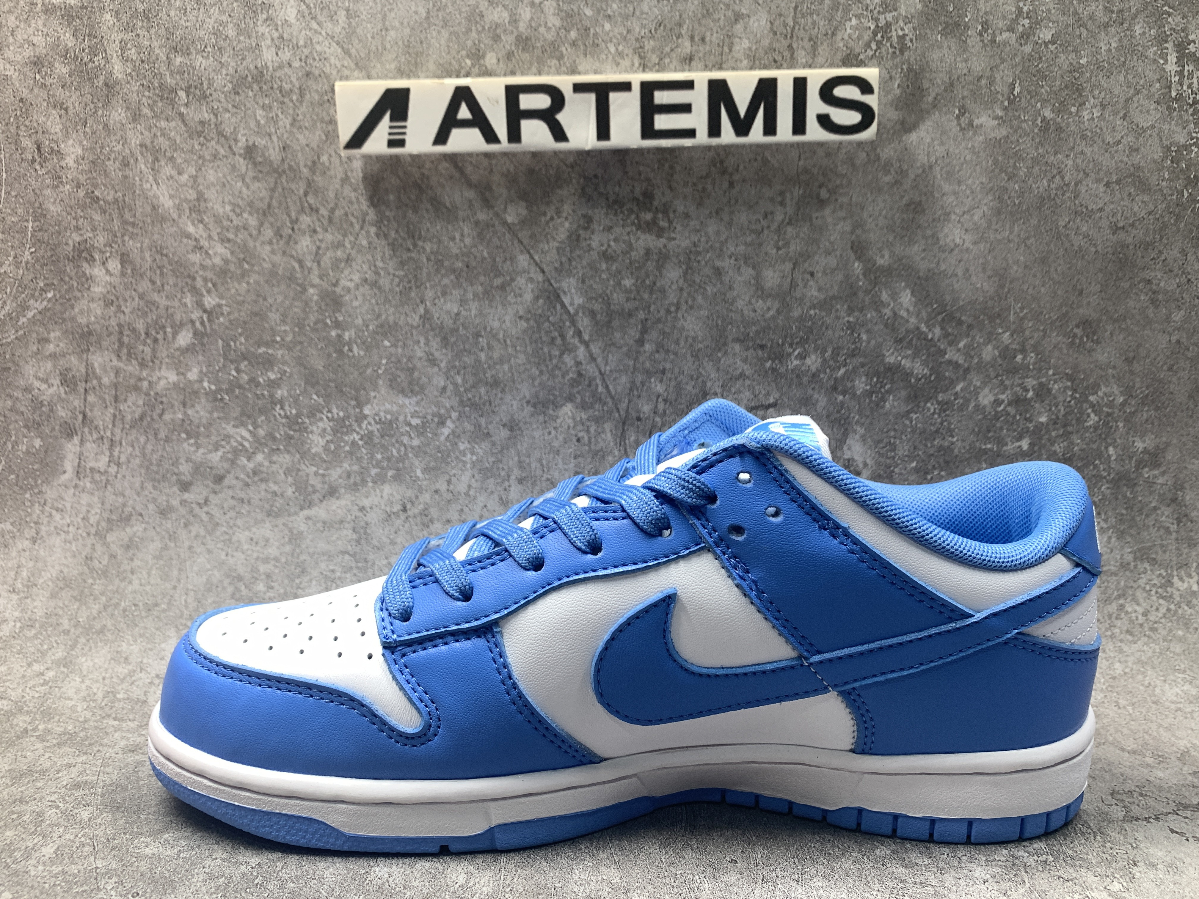 Nike Dunk Low UNC (2021)