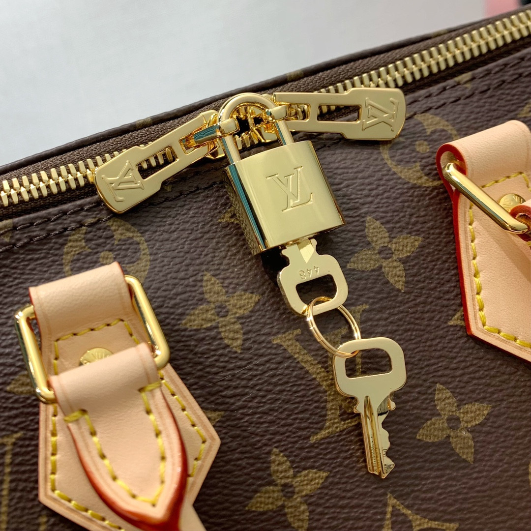 LV Speedy Bandoulière 25 M46977 25×19×15cm